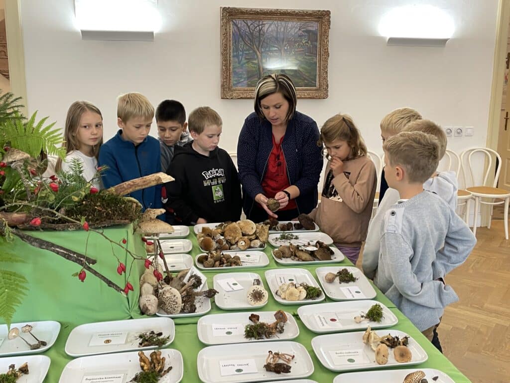 Není houba jako houba