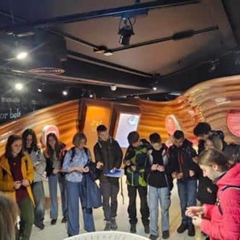 15438610-d703-4847-975d-409156dacc61