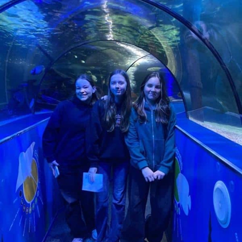 36000011-6439-4500-aa90-cd2fdce136fb