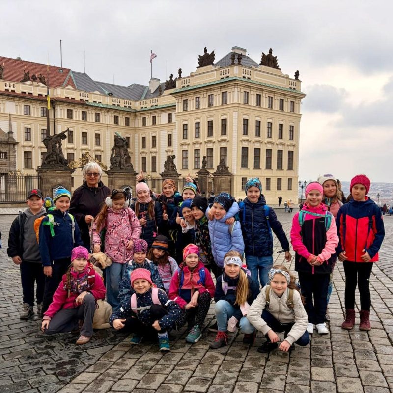 77d44b8a-6034-4bdc-a0fe-dd8f3d57c3f9