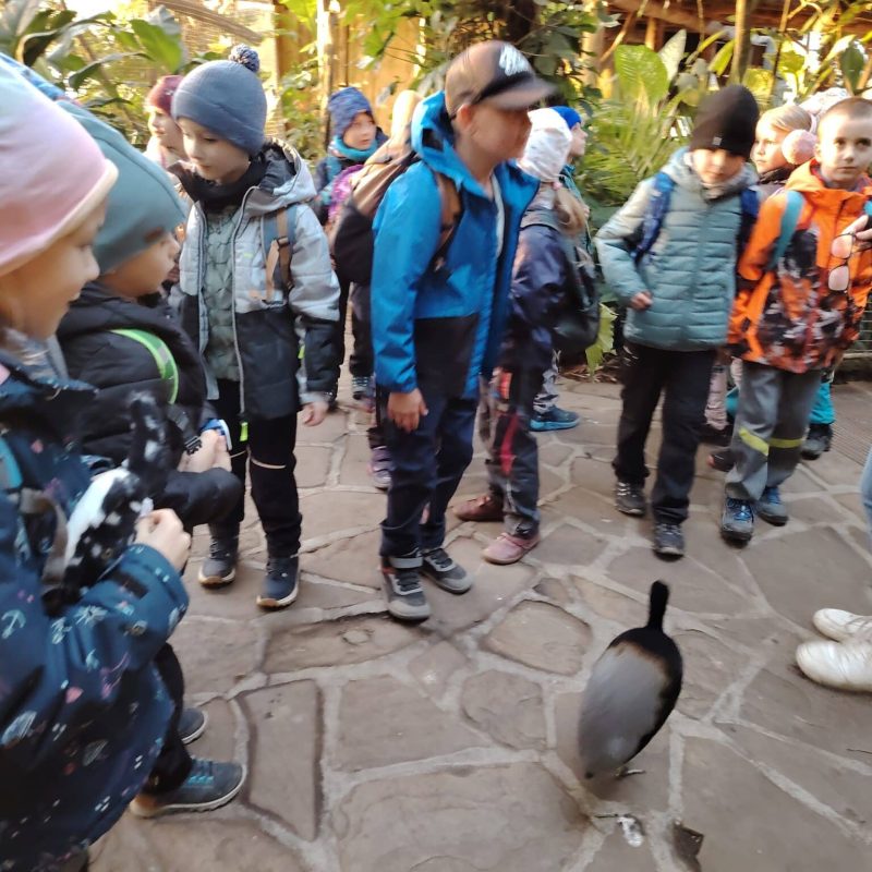 IMG_20251107_155323 (1)