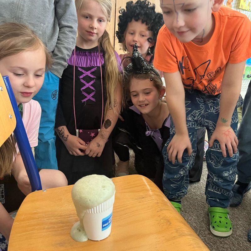 WhatsApp Image 2025-04-30 at 15.41.24 (2)