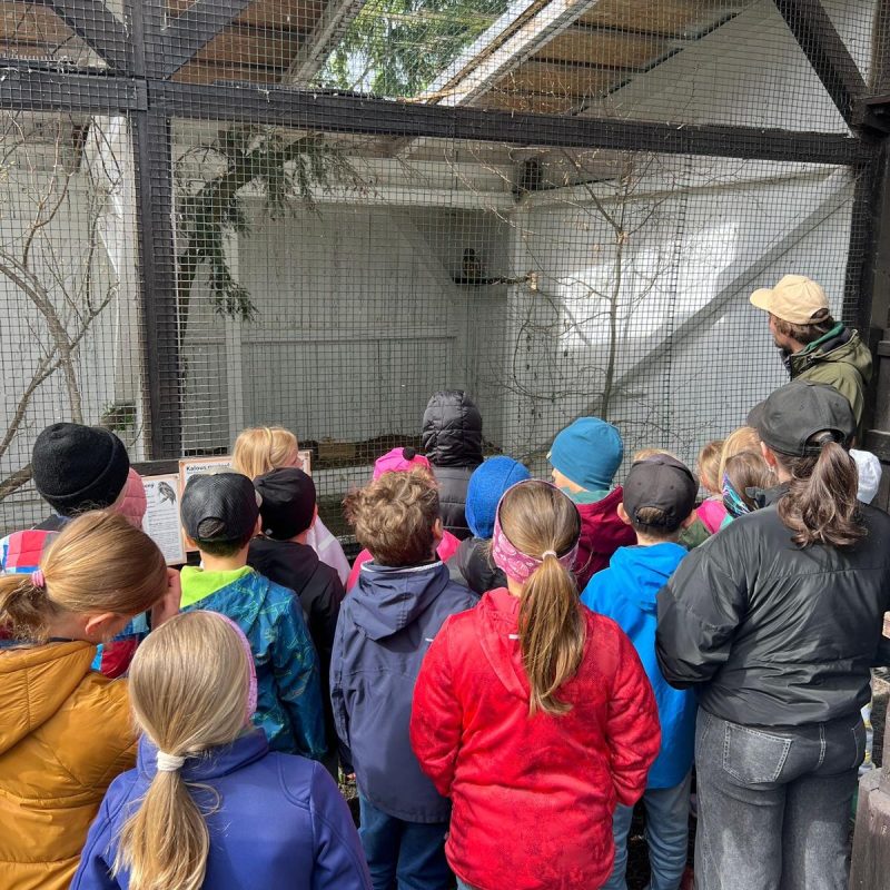 WhatsApp Image 2025-06-05 at 18.56.24 (1)