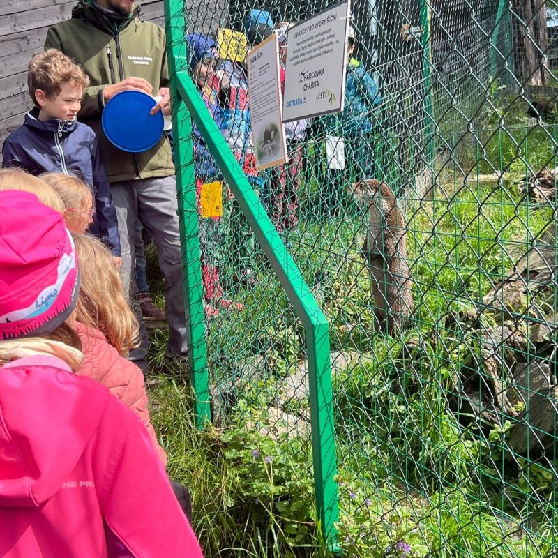 WhatsApp Image 2025-06-05 at 18.56.24 (2)