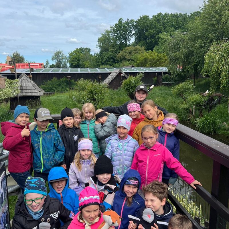 WhatsApp Image 2025-06-05 at 18.56.24 (3)