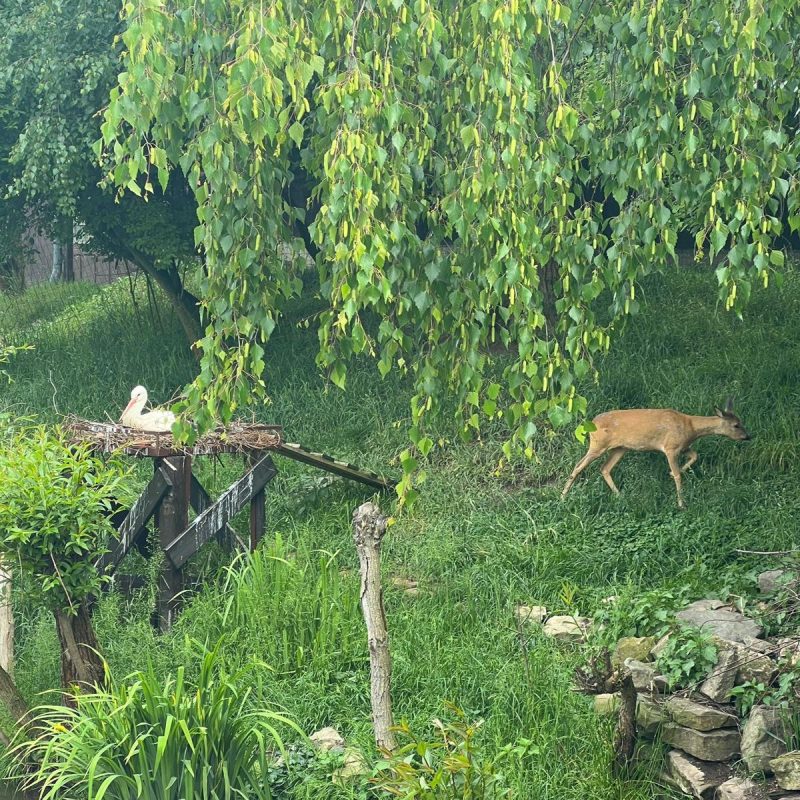 WhatsApp Image 2025-06-05 at 18.56.24 (5)