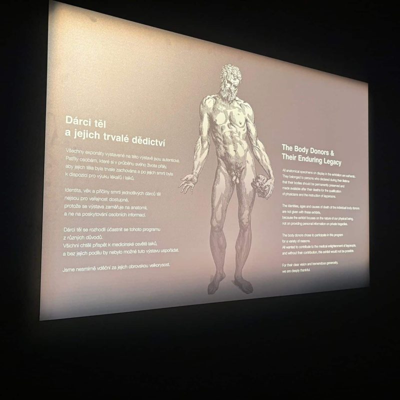 WhatsApp Image 2025-11-23 at 16.32.54