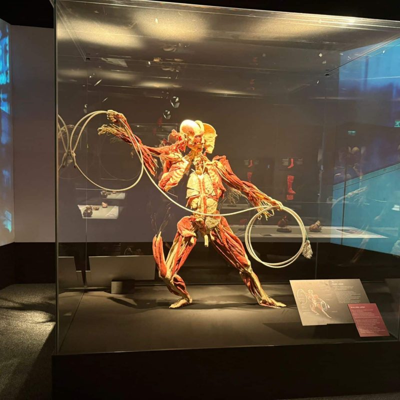 WhatsApp Image 2025-11-23 at 16.32.56