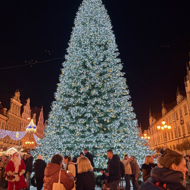 WhatsApp Image 2025-12-18 at 14.58.27 (2)